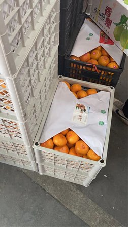 欧宝登录app入口